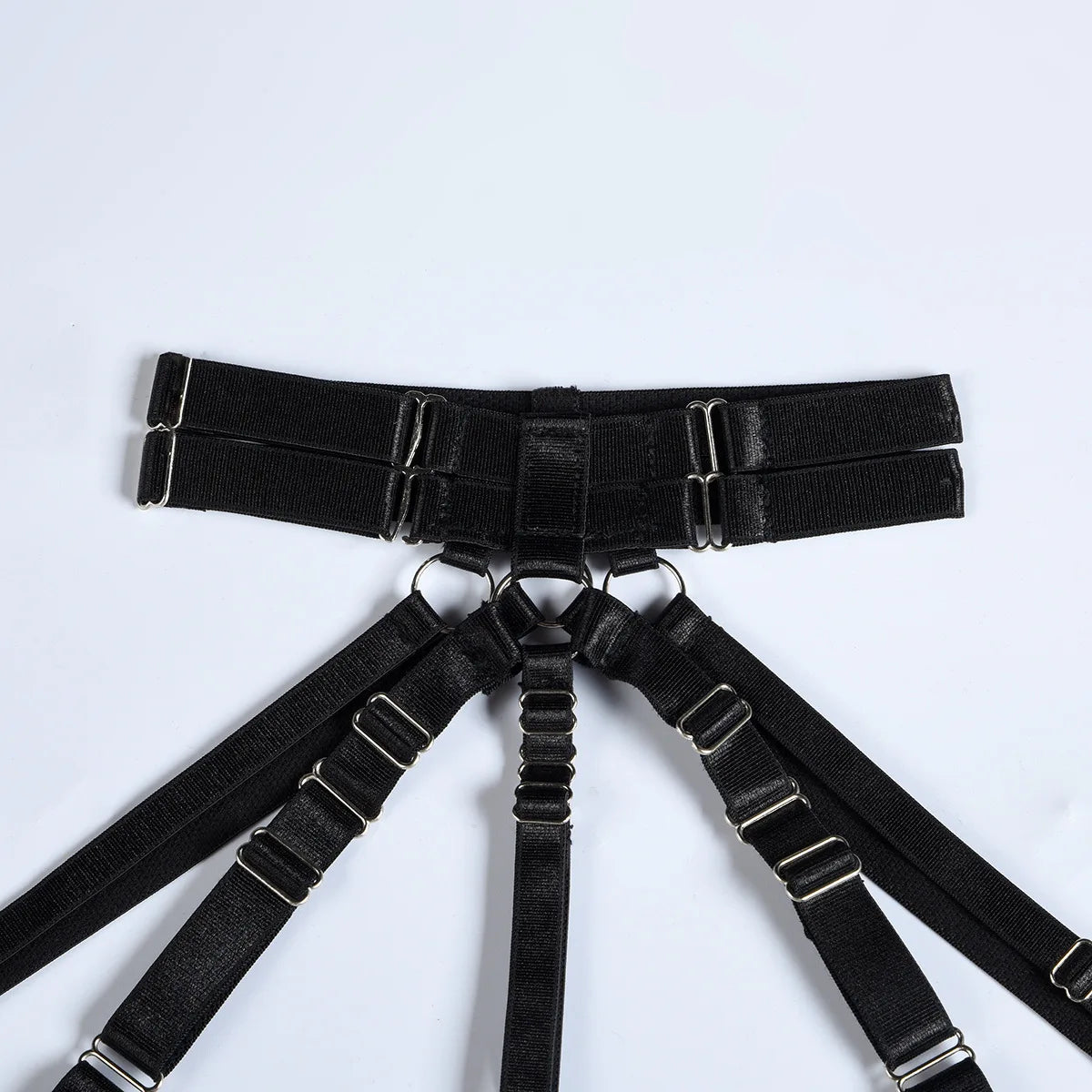 BS107 Model