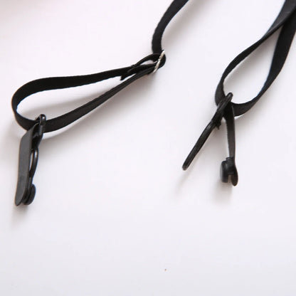 BS221 Model